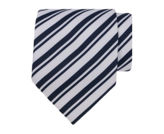 Witte stropdas met blauwe strepen